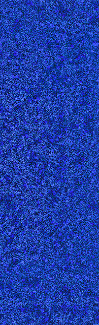 9-HAPFK2680C010星因藍